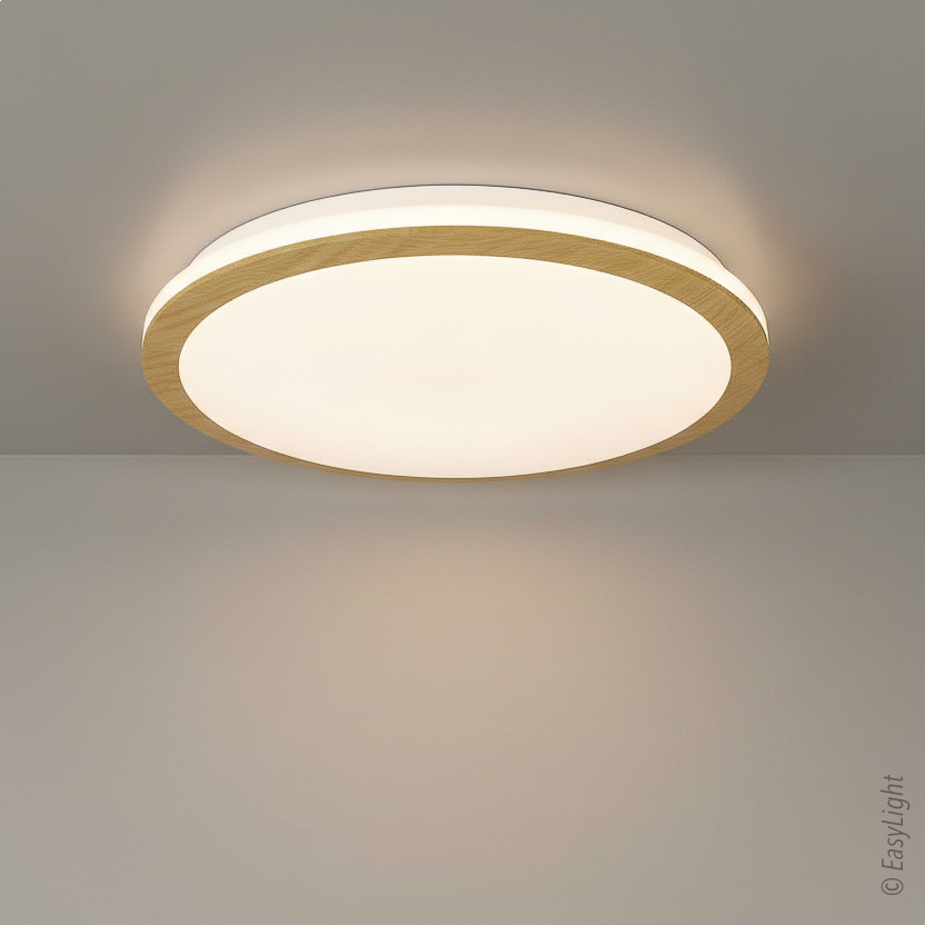 BRISA Ceiling Light