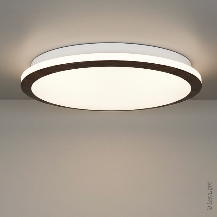BRISA Ceiling Light