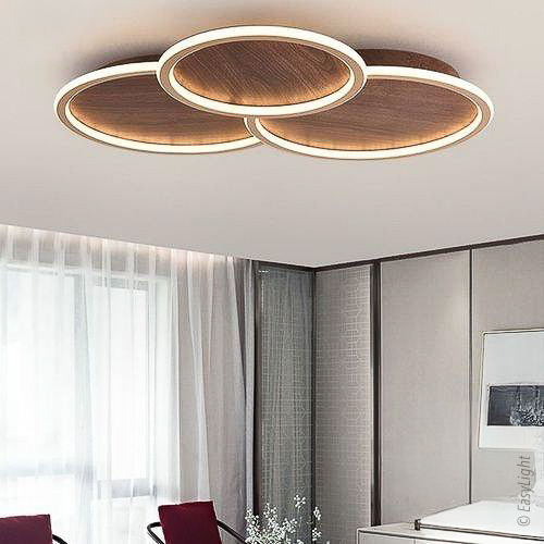 Tacoma Ceiling Light